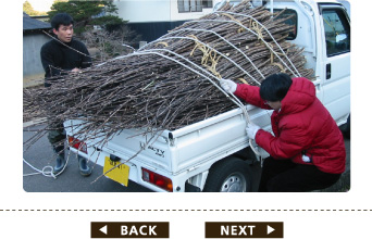 冬の刈り取り後の工程・その3