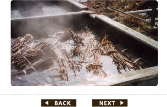 冬の刈り取り後の工程・その6