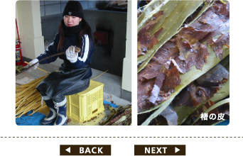 冬の刈り取り後の工程・その7