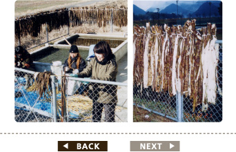 冬の刈り取り後の工程・その8